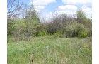 Property photo 3 - Land Auction - 113.11 Acres, Potential Building Site, Wildlife & Recreation, Development Potential